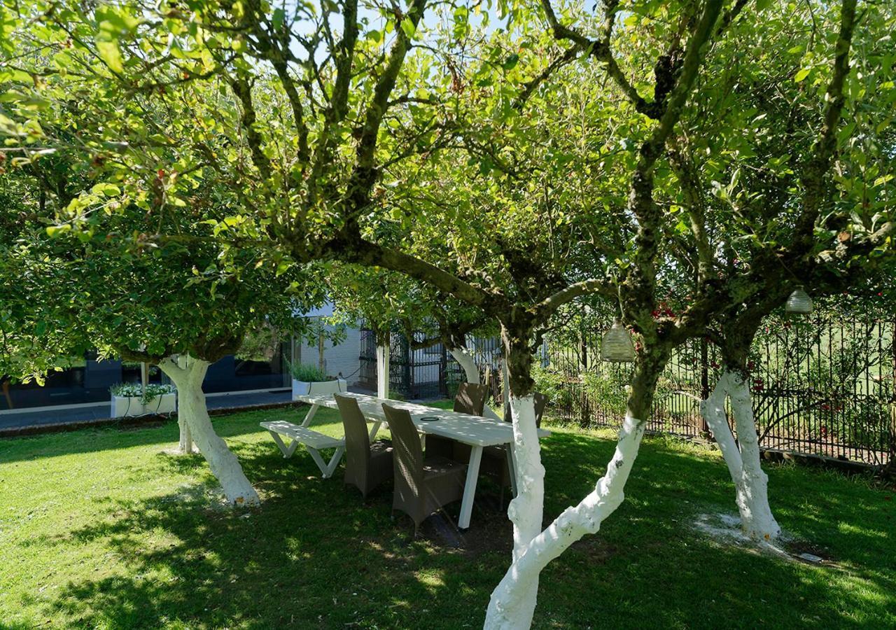 Gite De L'Etang Otel Frasnes-lez-Anvaing Dış mekan fotoğraf