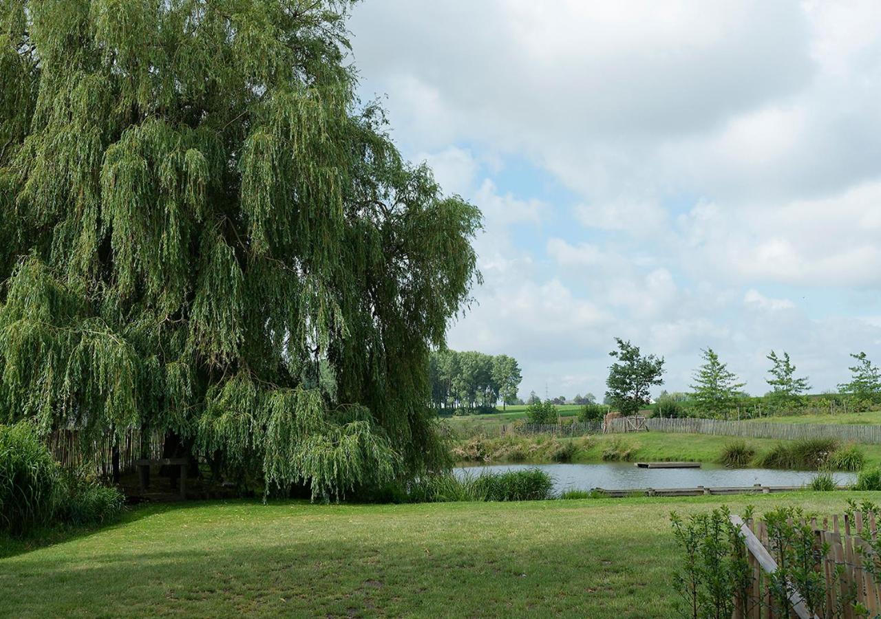 Gite De L'Etang Otel Frasnes-lez-Anvaing Dış mekan fotoğraf